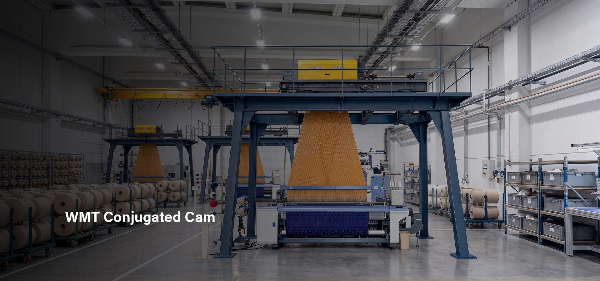 WMT Conjugated Cam